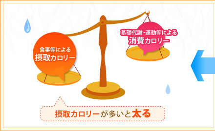 摂取カロリーが多いと太る
