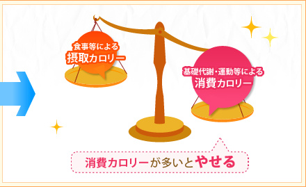 消費カロリーが多いとやせる
