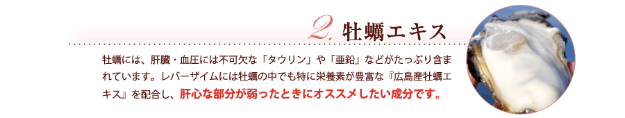 牡蠣エキス　牡蠣には、肝臓・血圧には不可欠な「タウリン」や「亜鉛」などがたっぷり含まれています。レバーザイムには牡蠣の中でも特に栄養素が豊富な『広島産牡蠣エキス』を配合し、肝心な部分が弱ったときにオススメしたい成分です。
