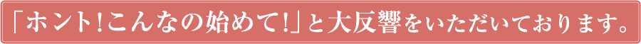 「ホン ト!こんなの始めて!」と大反響をいただいております。