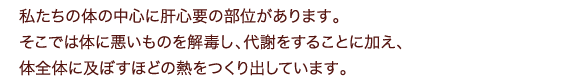 私たちの体の中心に肝心要の部位があります。そこでは体に悪いものを解毒し、代謝をすることに加え、体全体に及ぼすほどの熱をつくり出しています。