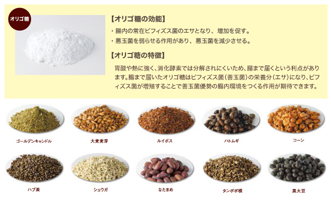オリゴ糖の効能と特徴