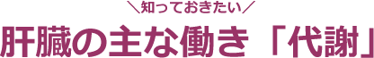 ＼知っておきたい／肝臓の主な働き「代謝」