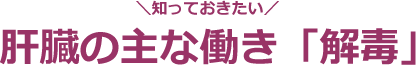 ＼知っておきたい／肝臓の主な働き「解毒」