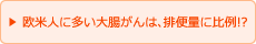 欧米人に多い大腸がんは、排便量に比例!?