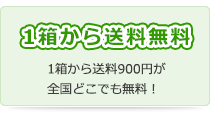 2箱以上で送料無料