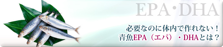 必要なのに体内で作られない！青魚EPA（エパ）・DHAとは？