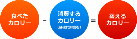 食べたカロリー　－　消費するカロリー（基礎代謝含む）　＝　蓄えるカロリー