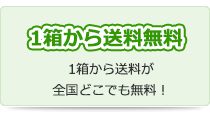 送料無料