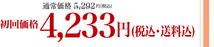 通常価格5,292円(税込)が4,233円(税込)