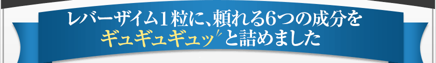 レバーザイム1粒に、頼れる6つの成分をギュギュギュッと詰めました