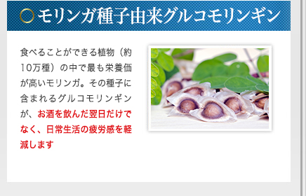 モリンガ種子由来グルコモリンギン - 食べることができる植物（約10万種）の中で最も栄養価が高いモリンガ。その種子に含まれるグルコモリンギンが、お酒を飲んだ翌日だけでなく、日常生活の疲労感を軽減します。