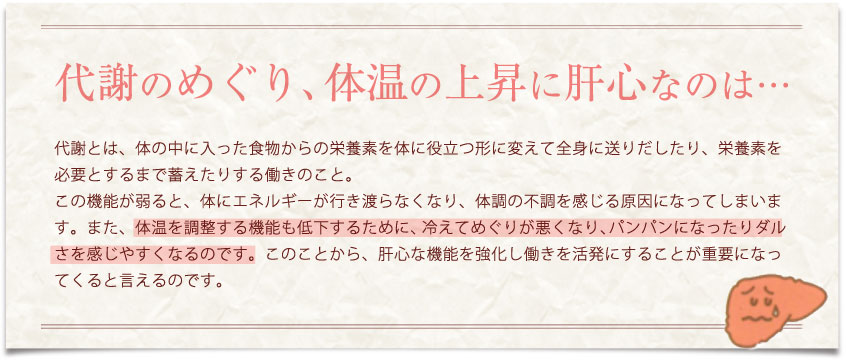 代謝のめぐり、体温の上昇に肝心なのは…代謝とは、体の中に入った食物からの栄養素を体に役立つ形に変えて全身に送りだしたり、栄養素を必要とするまで蓄えたりする働きのこと。この機能が弱ると、体にエネルギーが行き渡らなくなり、体調の不調を感じる原因になってしまいます。また、体温を調整する機能も低下するために、冷えてめぐりが悪くなり、パンパンになったりダルさを感じやすくなるのです。このことから、肝心な機能を強化し働きを活発にすることが重要になってくると言えるのです。