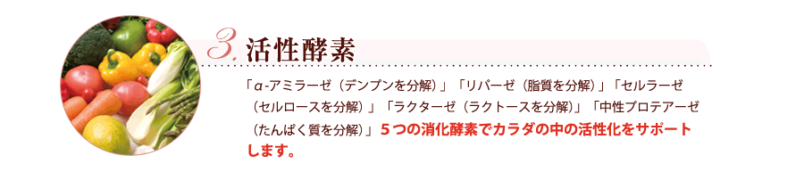 活性酵素　「α-アミラーゼ（デンプンを分解）」「リパーゼ（脂質を分解）」「セルラーゼ（セルロースを分解）」「ラクターゼ（ラクトースを分解）」「中性プロテアーゼ（たんぱく質を分解）」５つの消化酵素でカラダの中の活性化をサポートします。