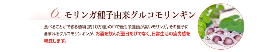 モリンガ種子由来グルコモリンギン　食べることができる植物（約10万種）の中で最も栄養価が高いモリンガ。その種子に含まれるグルコモリンギンが、お酒を飲んだ翌日だけでなく、日常生活の疲労感を軽減します。