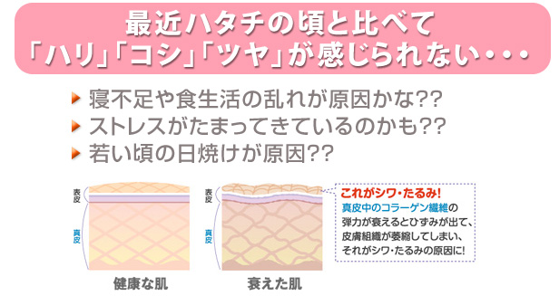 最近ハタチのころと比べて「ハリ」「コシ」「ツヤ」が感じられない… 寝不足、食生活の乱れ、 若いころの日焼けが原因？